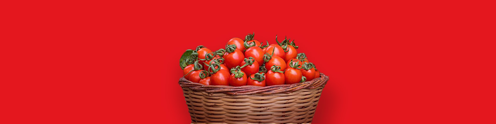 Tomatofied Us